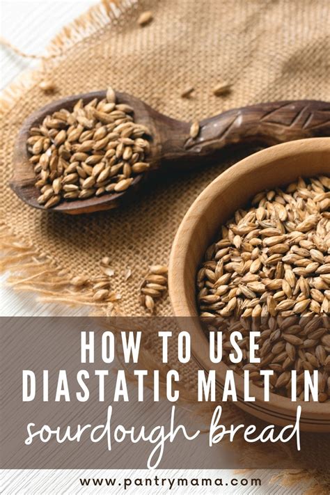 diastatic malt powder in sourdough.